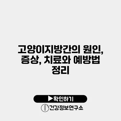 고양이지방간의 원인, 증상, 치료와 예방법 정리