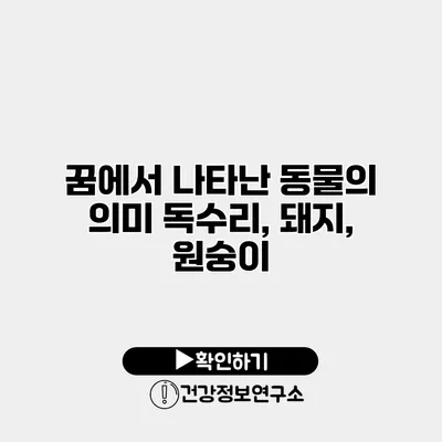 꿈에서 나타난 동물의 의미 독수리, 돼지, 원숭이