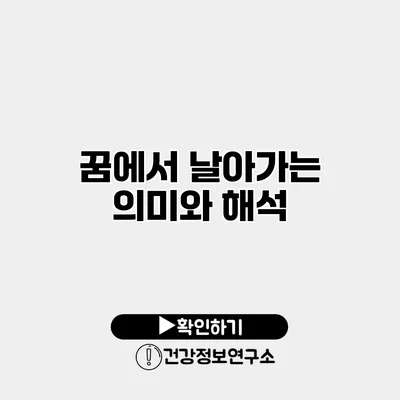 꿈에서 날아가는 의미와 해석