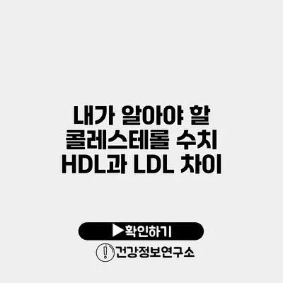 내가 알아야 할 콜레스테롤 수치 HDL과 LDL 차이