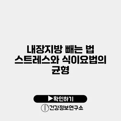 내장지방 빼는 법 스트레스와 식이요법의 균형