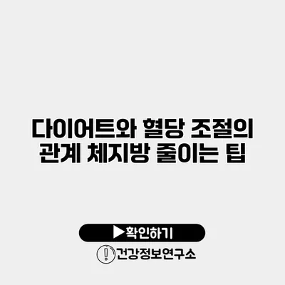 다이어트와 혈당 조절의 관계 체지방 줄이는 팁