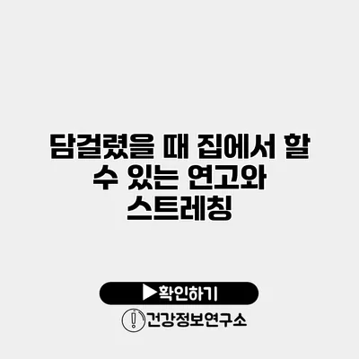 담걸렸을 때 집에서 할 수 있는 연고와 스트레칭