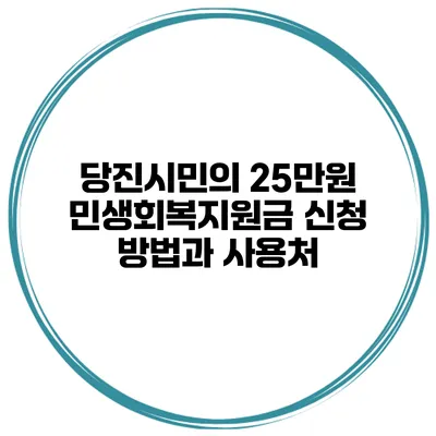 당진시민의 25만원 민생회복지원금 신청 방법과 사용처