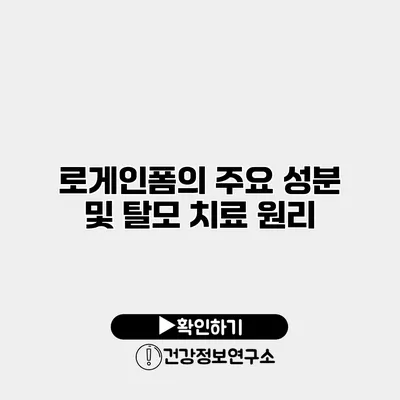 로게인폼의 주요 성분 및 탈모 치료 원리