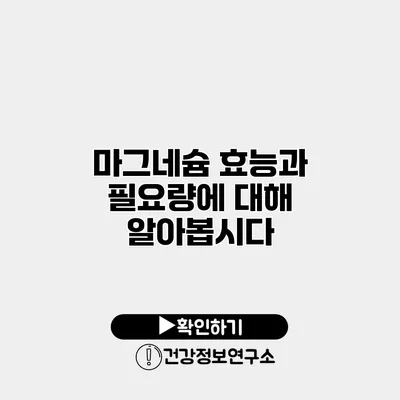 마그네슘 효능과 필요량에 대해 알아봅시다