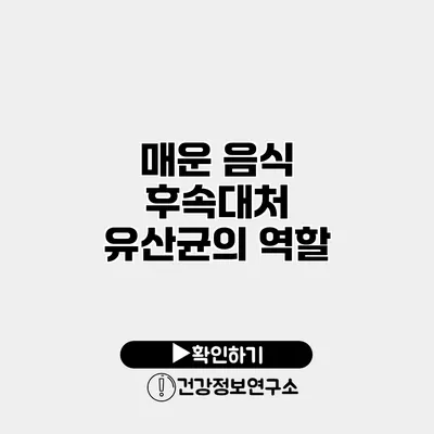 매운 음식 후속대처 유산균의 역할