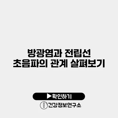 방광염과 전립선 초음파의 관계 살펴보기