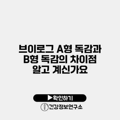 브이로그 A형 독감과 B형 독감의 차이점 알고 계신가요?