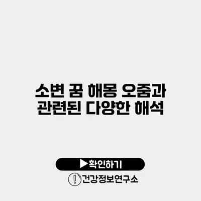 소변 꿈 해몽 오줌과 관련된 다양한 해석