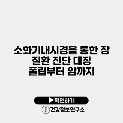 소화기내시경을 통한 장 질환 진단 대장 폴립부터 암까지