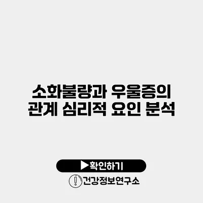소화불량과 우울증의 관계 심리적 요인 분석