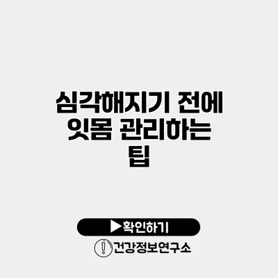 심각해지기 전에 잇몸 관리하는 팁