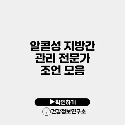 알콜성 지방간 관리 전문가 조언 모음