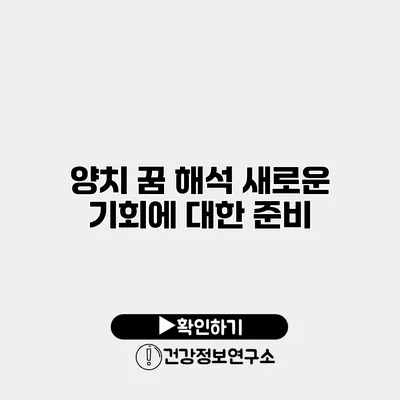양치 꿈 해석 새로운 기회에 대한 준비