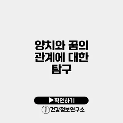 양치와 꿈의 관계에 대한 탐구