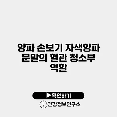 양파 손보기 자색양파 분말의 혈관 청소부 역할