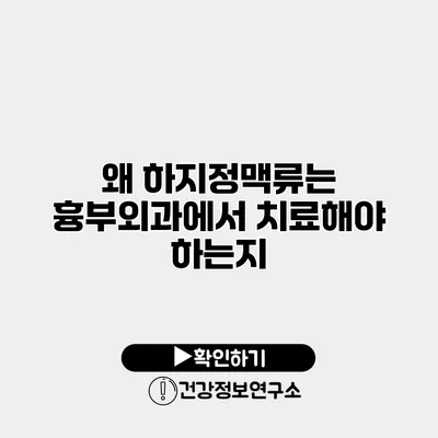 왜 하지정맥류는 흉부외과에서 치료해야 하는지