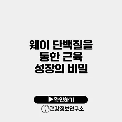 웨이 단백질을 통한 근육 성장의 비밀