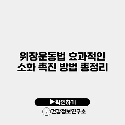 위장운동법 효과적인 소화 촉진 방법 총정리