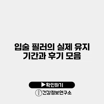 입술 필러의 실제 유지 기간과 후기 모음