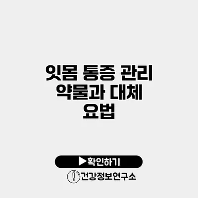 잇몸 통증 관리 약물과 대체 요법