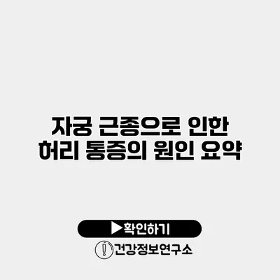 자궁 근종으로 인한 허리 통증의 원인 요약