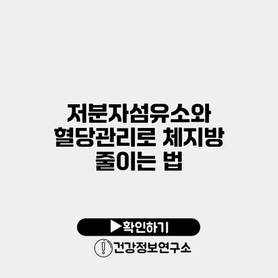 저분자섬유소와 혈당관리로 체지방 줄이는 법