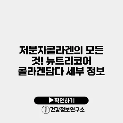 저분자콜라겐의 모든 것! 뉴트리코어 콜라겐담다 세부 정보