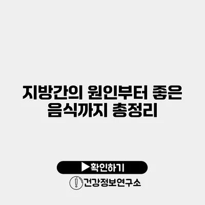 지방간의 원인부터 좋은 음식까지 총정리