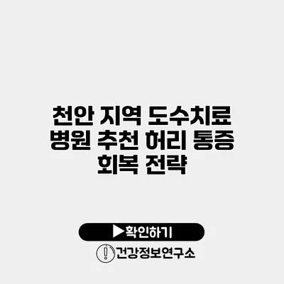 천안 지역 도수치료 병원 추천 허리 통증 회복 전략