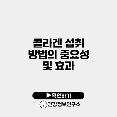 콜라겐 섭취 방법의 중요성 및 효과