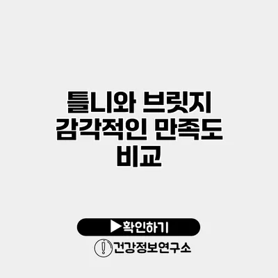 틀니와 브릿지 감각적인 만족도 비교