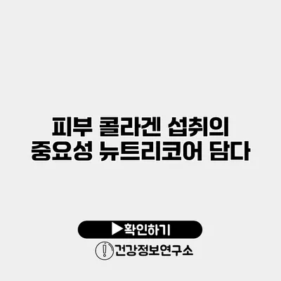 피부 콜라겐 섭취의 중요성 뉴트리코어 담다