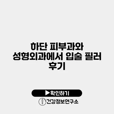 하단 피부과와 성형외과에서 입술 필러 후기