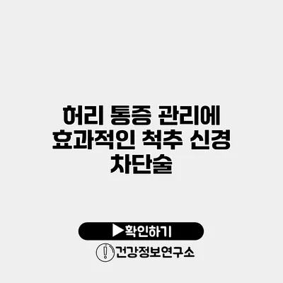 허리 통증 관리에 효과적인 척추 신경 차단술