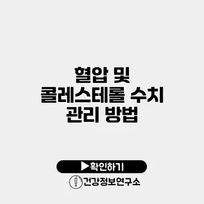 혈압 및 콜레스테롤 수치 관리 방법