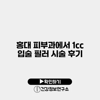 홍대 피부과에서 1cc 입술 필러 시술 후기