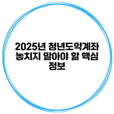 2025년 청년도약계좌 놓치지 말아야 할 핵심 정보