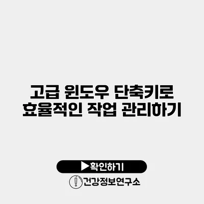 고급 윈도우 단축키로 효율적인 작업 관리하기