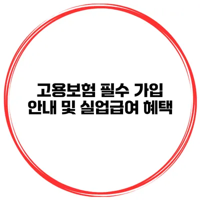 고용보험 필수 가입 안내 및 실업급여 혜택