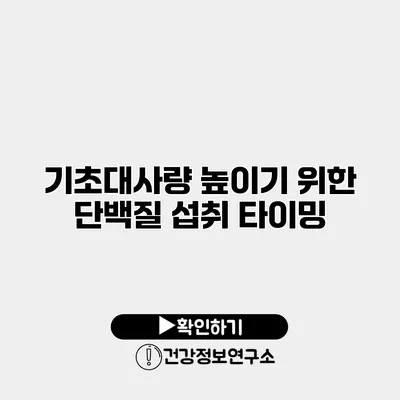 기초대사량 높이기 위한 단백질 섭취 타이밍