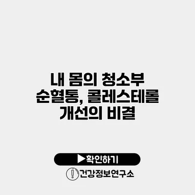 내 몸의 청소부 순혈통, 콜레스테롤 개선의 비결