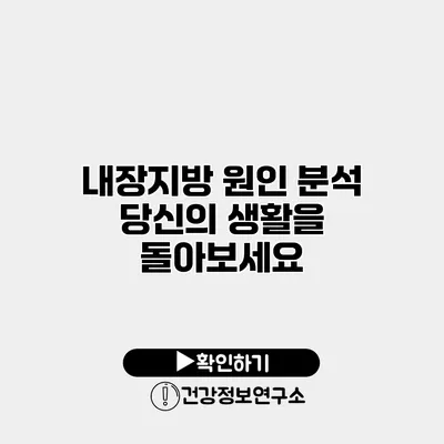 내장지방 원인 분석 당신의 생활을 돌아보세요