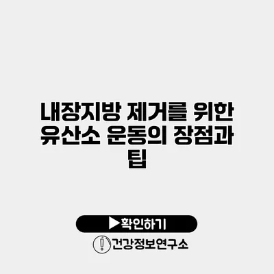 내장지방 제거를 위한 유산소 운동의 장점과 팁