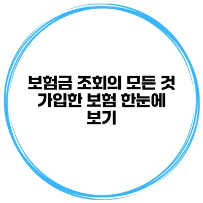 보험금 조회의 모든 것 가입한 보험 한눈에 보기