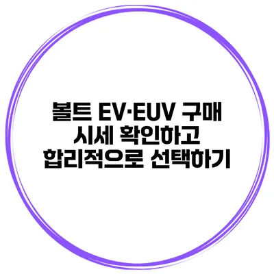 볼트 EV·EUV 구매 시세 확인하고 합리적으로 선택하기