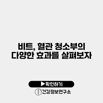 비트, 혈관 청소부의 다양한 효과를 살펴보자