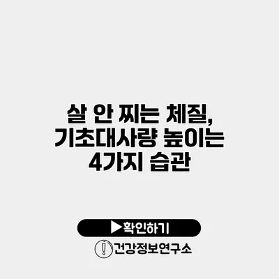 살 안 찌는 체질, 기초대사량 높이는 4가지 습관