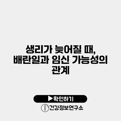 생리가 늦어질 때, 배란일과 임신 가능성의 관계